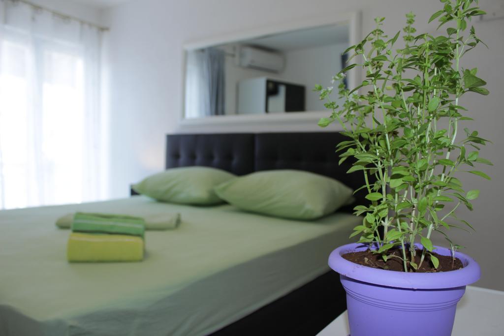 Guest House Put Neum Bagian luar foto